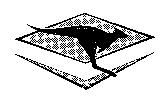 WINFIELD RACING KANGAROO Device Mark
