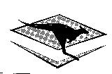 WINFIELD RACING KANGAROO Device Mark