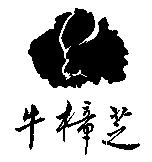 牛樟芝及圖