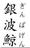 銀波鯨 ぎんぱげん