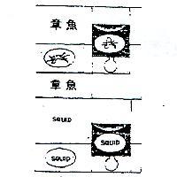 章魚及圖 SQUID 