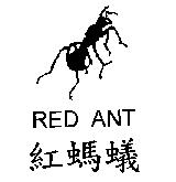 紅螞蟻及圖 RED ANT