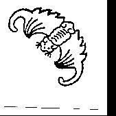 蝙蝠圖