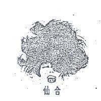 仙合及圖