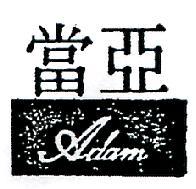 亞當 ADAM 