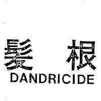 髮根 DANDRICIDE 
