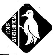啄木鳥及圖樣 WOODPECKER