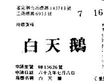 白天鵝