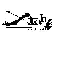 Xtah 設計圖,raw hair 及圖