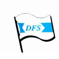 DFS 及圖
