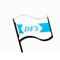 DFS 及圖