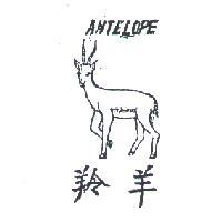 羚羊 ANTELOPE 
