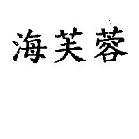 海芙蓉