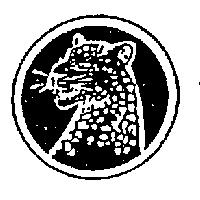 豹圖