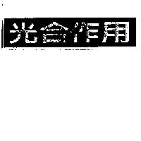 光合作用