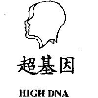 超基因 HIGH DNA 及圖