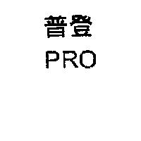 普登 PRO