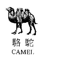 駱駝及圖 CAMEL