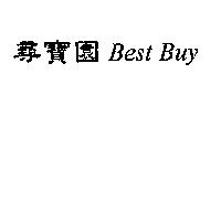 尋寶園 Best Buy