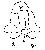 天命及圖