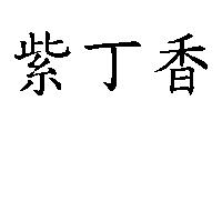 紫丁香