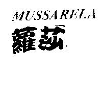 蘿莎 MUSSARELA