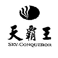 天霸王 SKY-CONQUEROR 及圖