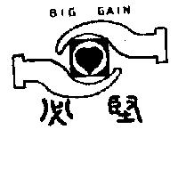 必堅及圖 BIG GAIN
