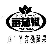 蕃茄椒 YUE NONG トマト–ピ DIY 有機蔬果及圖