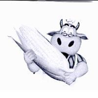 牛伯伯圖