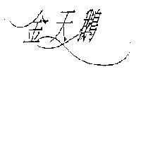 金天鵝