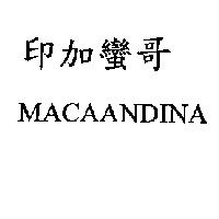 印加蠻哥 MACAANDINA