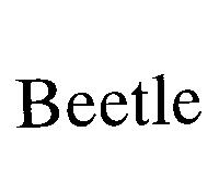 Beetle