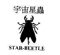 宇宙星蟲 STAR-BEETLE 及圖