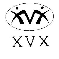 XVX 及圖