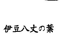 伊豆八丈の葉