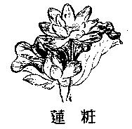 蓮粧及圖