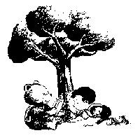 愛斯佳大樹圖
