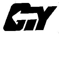 GTY 及圖