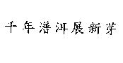 千年潽洱展新芽