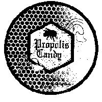 Propolis Candy プロポリス キヤンデイ–及圖