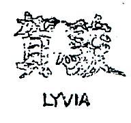 賀駿 LYVIA