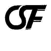 CSF 及圖