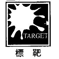 標靶 TARGET 及圖