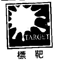 標靶 TARGET 及圖