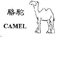 駱駝 CAMEL 及圖
