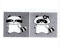 浣熊圖