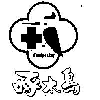 啄木鳥及圖 Woodpecker