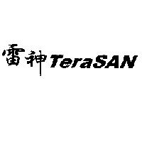 雷神 TeraSAN