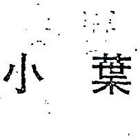 小葉